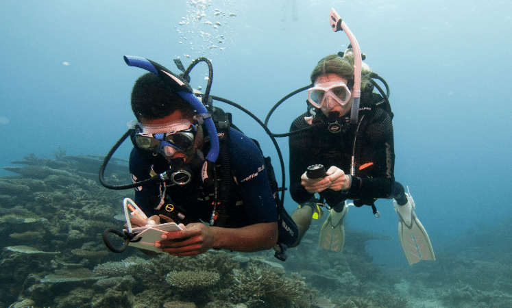 Dos buceadores exploran un arrecife de coral bajo el agua y leen unas tablillas submarinas.