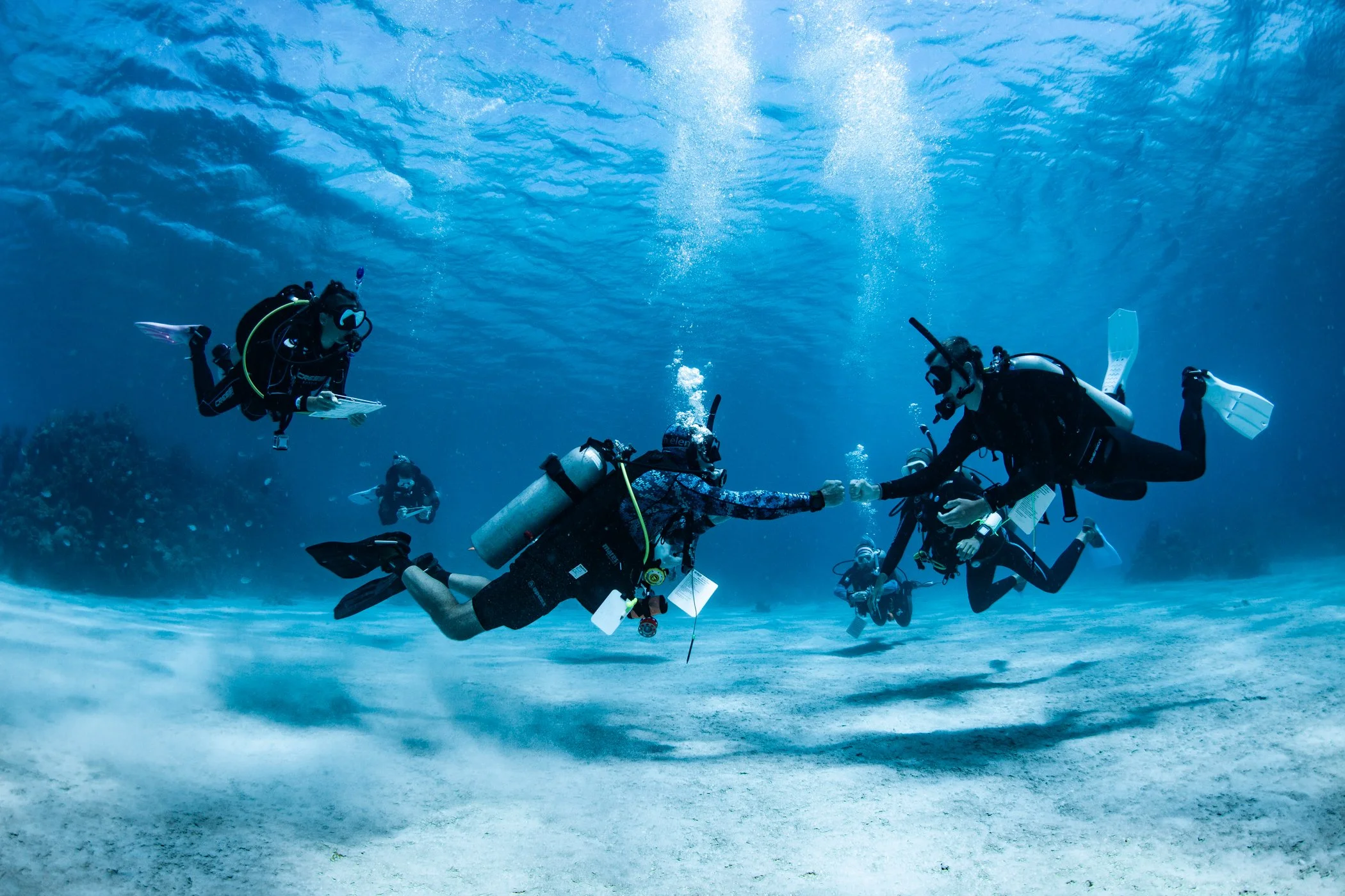 Where to Do Your PADI IDC: The Ultimate Guide to Choosing the Best Location