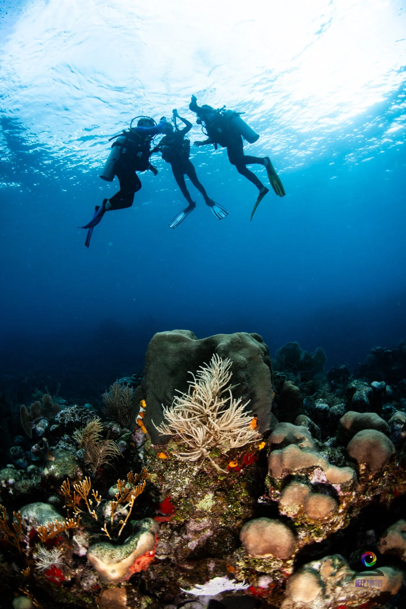 PADI IDC in the Caribbean