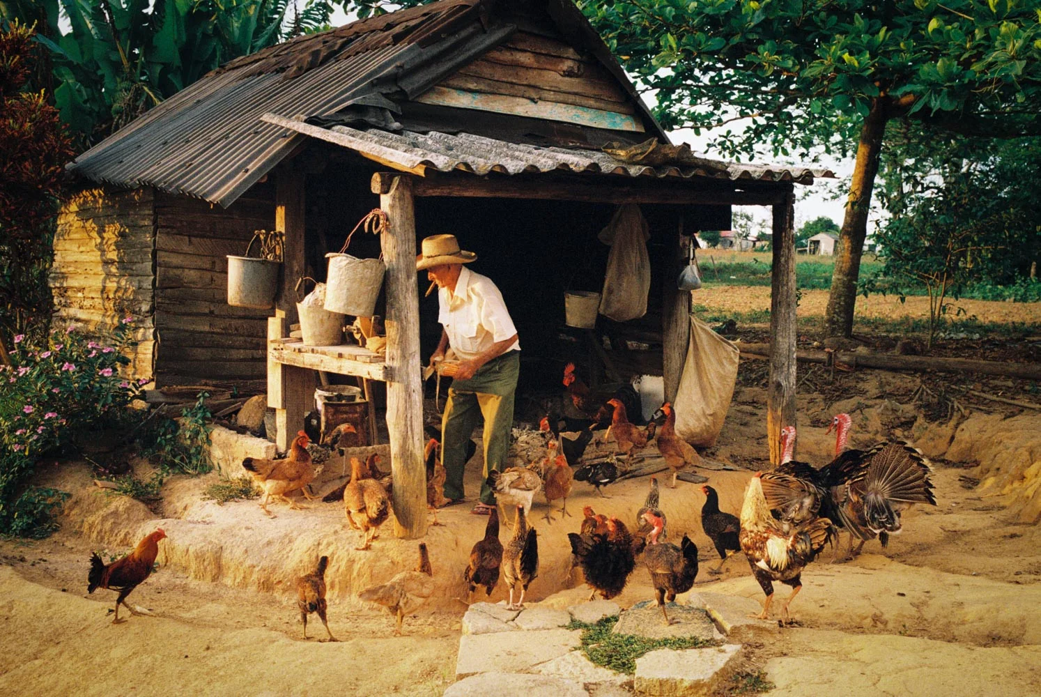 Vale de Vinales, Leica MP, Kodak Portra 800