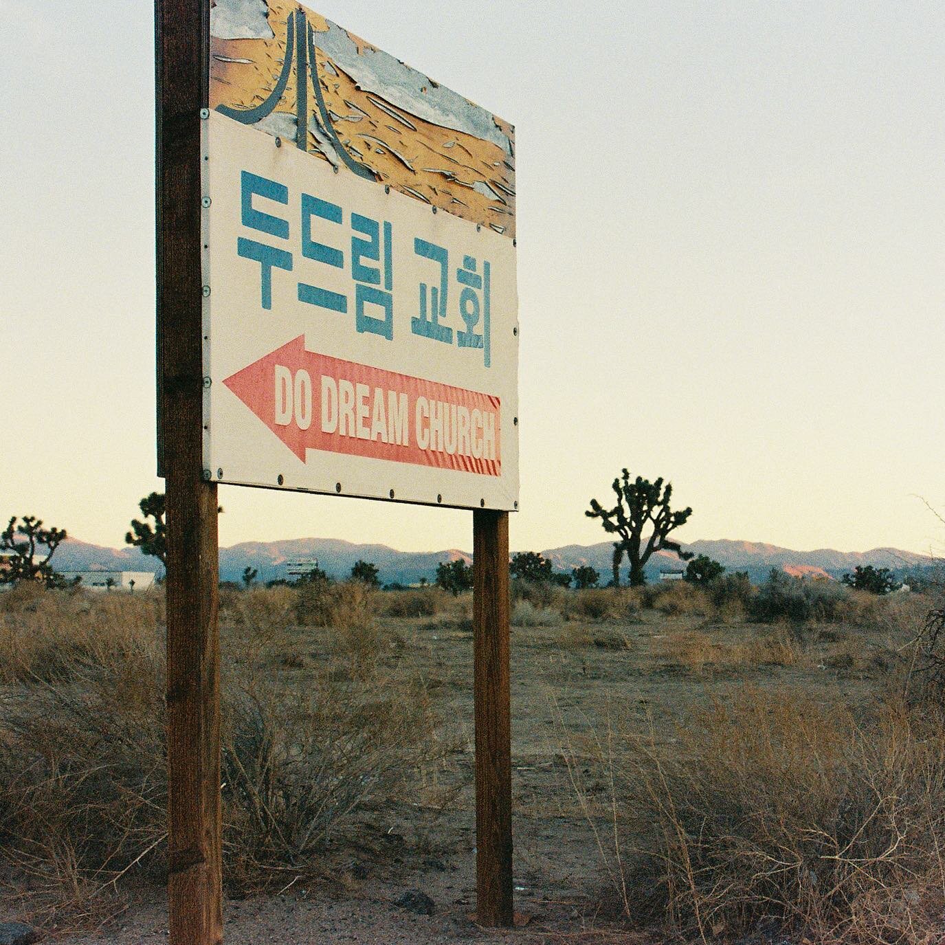 Desert roadside #roadtripusa #ilovefilm #nikonf4 #landscapephotography #portra800film #california