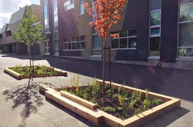 Verdissement des cours d’écoles