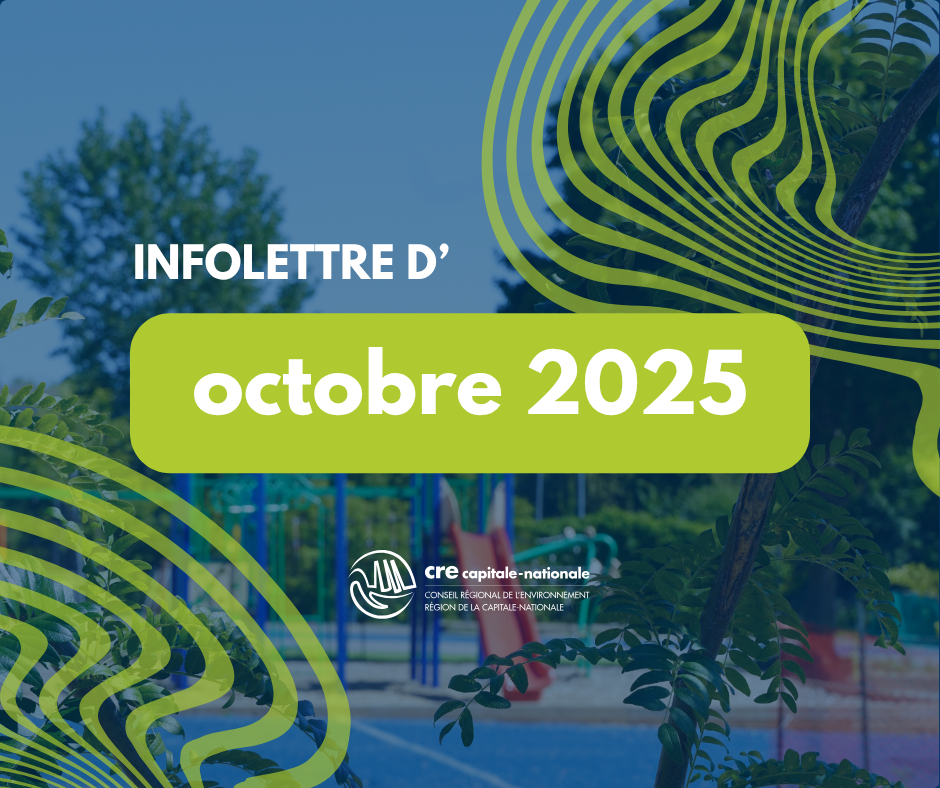 IMAGES CARRÉES SITE (12).png