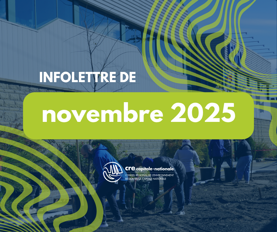 vignette infolettre SITE.png