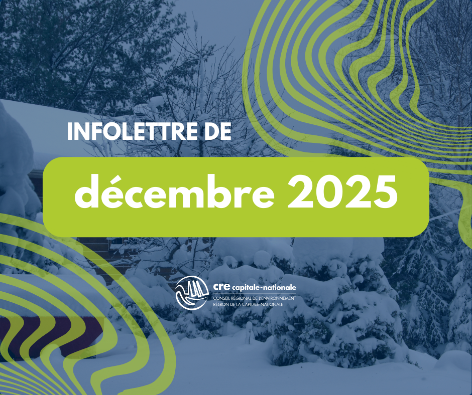 vignette infolettre SITE (1).png