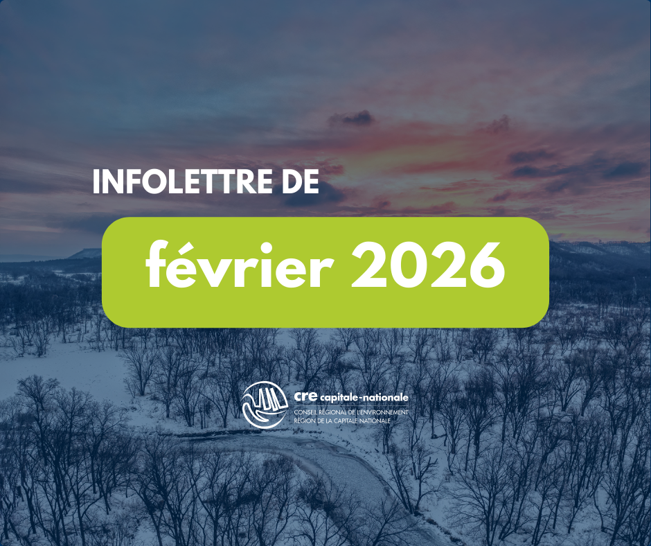 vignette infolettre SITE (4).png