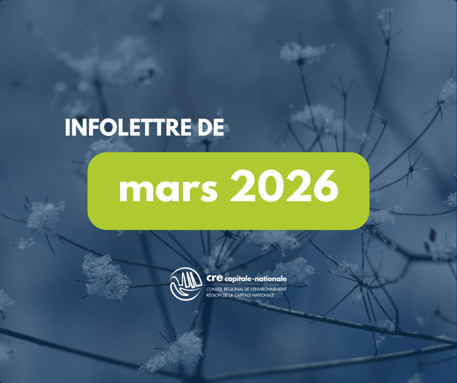 vignette infolettre SITE (6).png