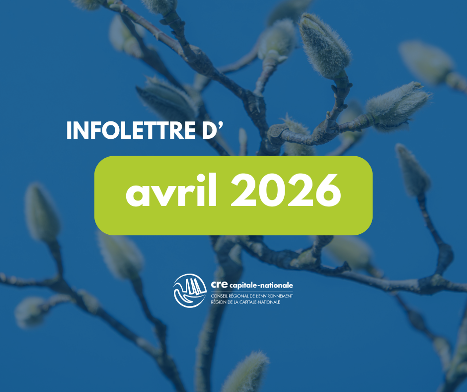 vignette infolettre SITE (7).png