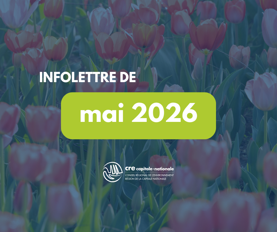 vignette infolettre SITE (8).png