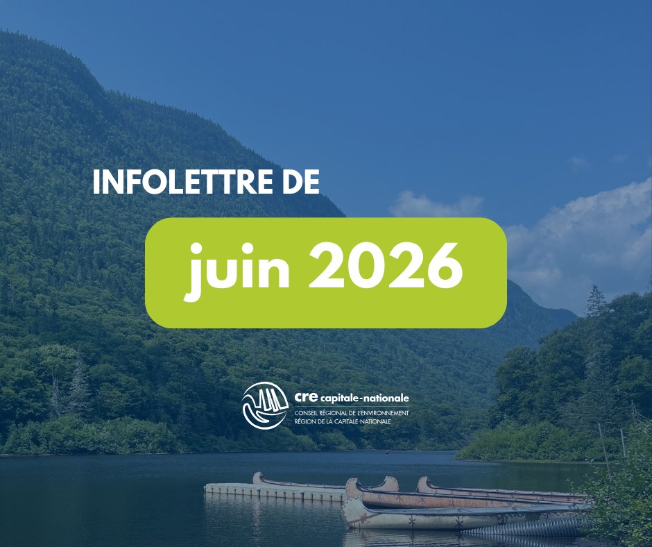 vignette infolettre SITE (11).png