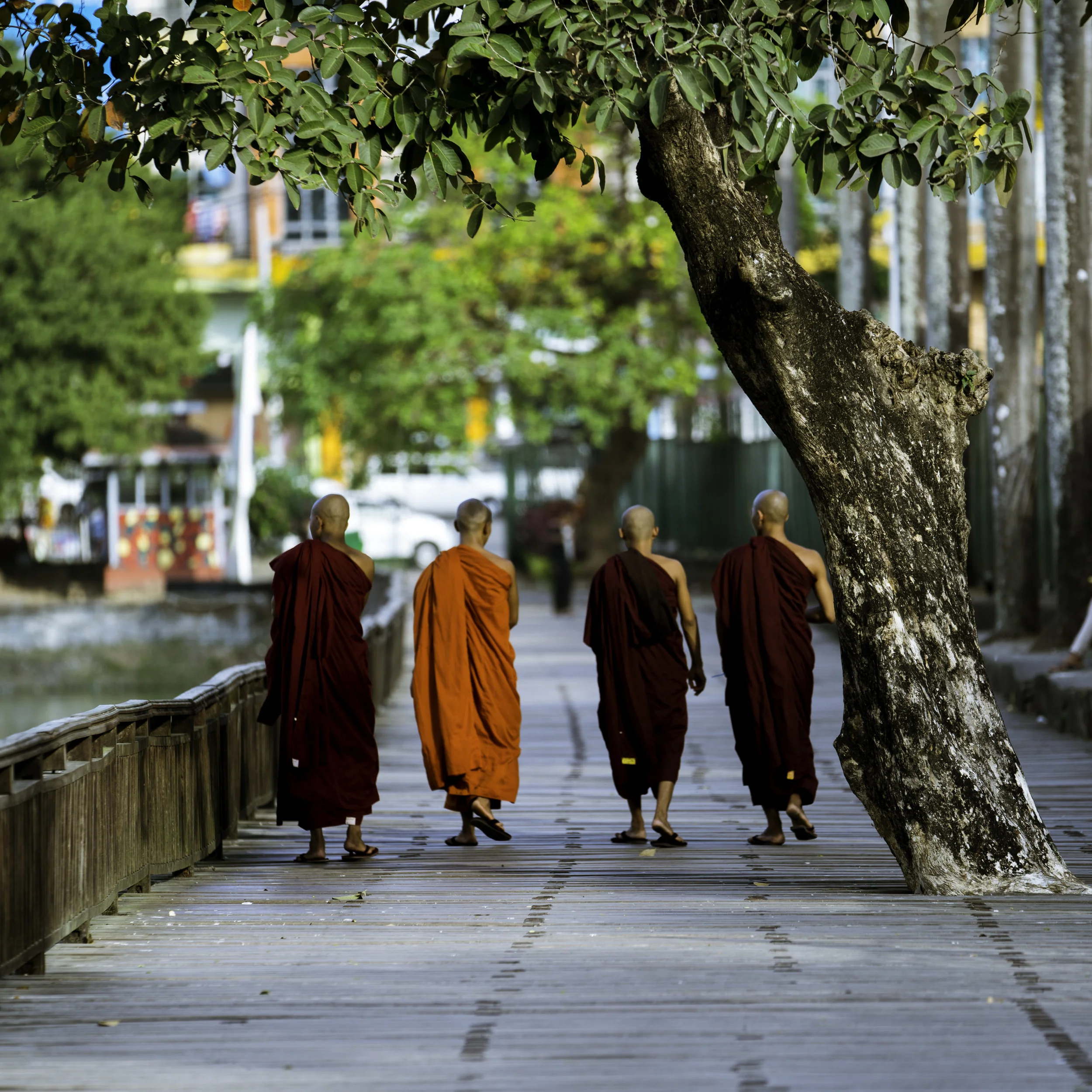 Monks at Kandawgyi. Local monks touring the Kandawgyi lake.