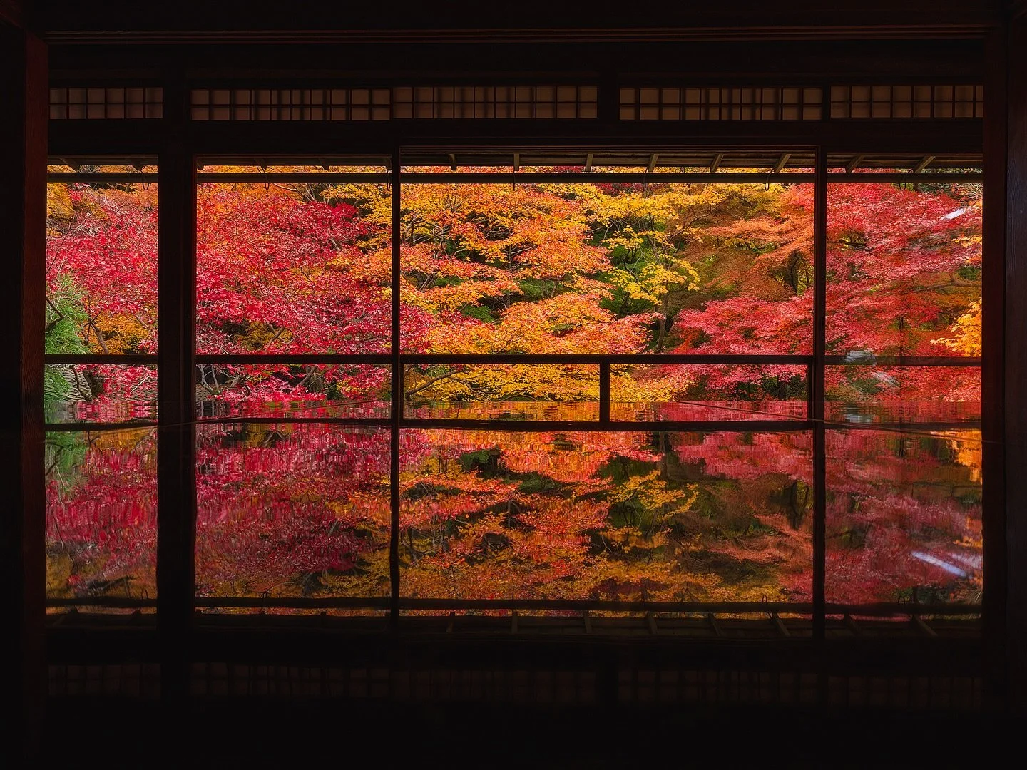 Frames of Japan 🇯🇵 🪟🍁 

📷 Fuji GFX
⭕️ @mavenfilters 
🎛️ @withmediumrare 

#japan
#koyo 
#momiji 
#momijigari 
#kyoto
#fallcolors 
#japanfallcolors 
#fujifilm 
#fujigfx