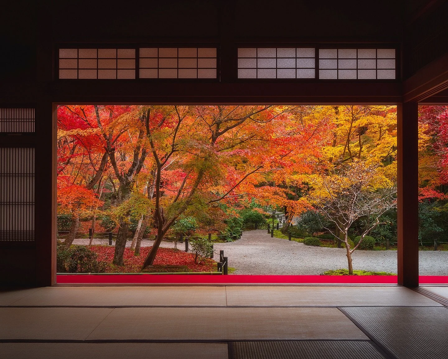 Frames of Japan 🇯🇵 🪟🍁 

📷 Fuji GFX
⭕️ @mavenfilters 
🎛️ @withmediumrare 

#japan
#koyo 
#momiji 
#momijigari 
#kyoto
#fallcolors 
#japanfallcolors 
#fujifilm 
#fujigfx