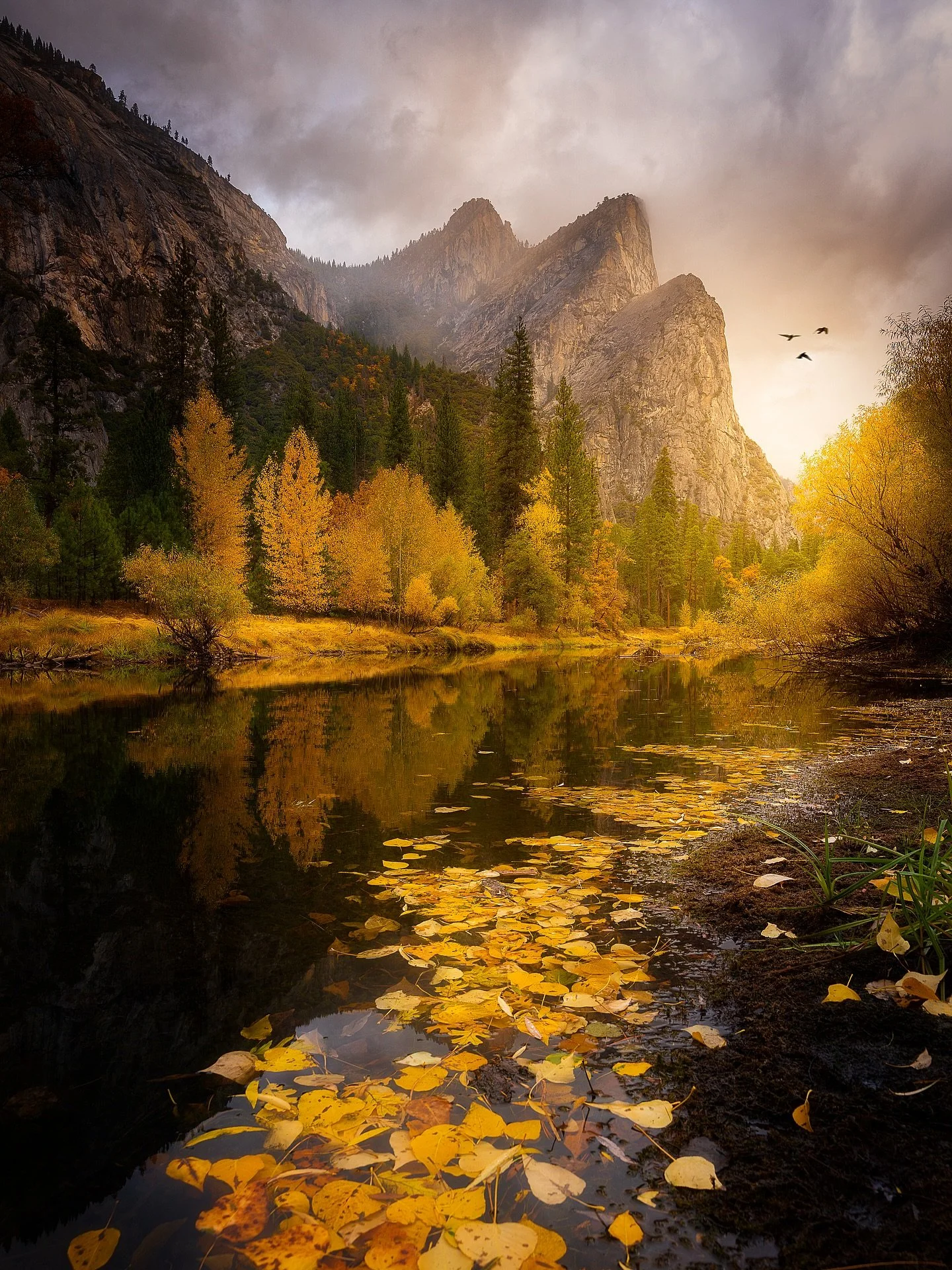 Yosemite Fall Foliage 🍂🏞️

📸 Sony Alpha
⭕️ @mavenfilters 

#YosemiteFall #AutumnWonderland #GoldenHourMagic #LeafyParadise #NatureIsArt #YosemiteNationalPark #FallFoliagePhotography #NatureLover #ExploreTheOutdoors #FallInLoveWithNature #ScenicVie