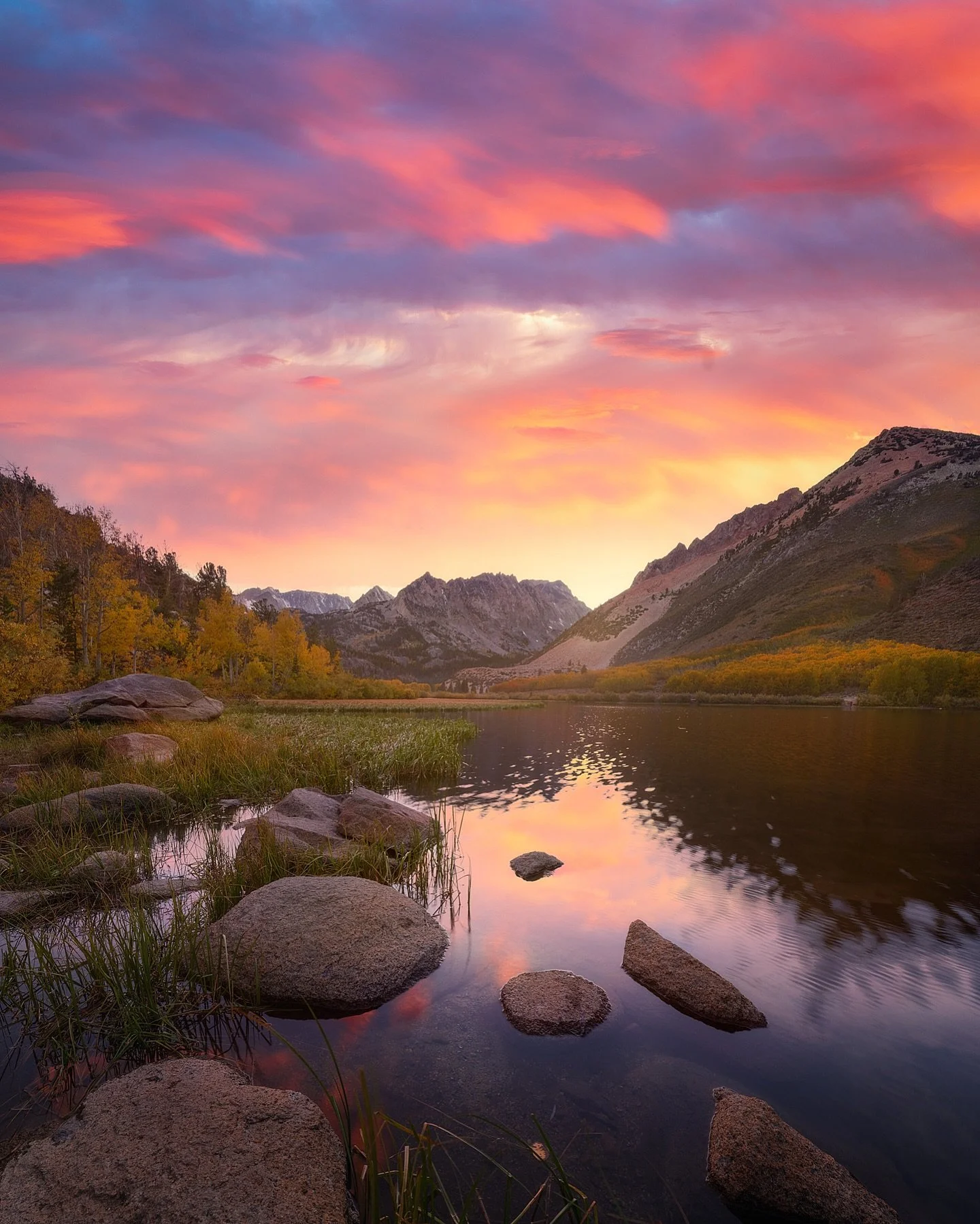 California Classics 

📸 Fuji GFX 
⭕️ @mavenfilters 
🖥️ @withmediumrare 

#fujifilm
#california #easternsierra 
#withmediumrare #mavenfilters 
#wildcalifornia #californiabeauty