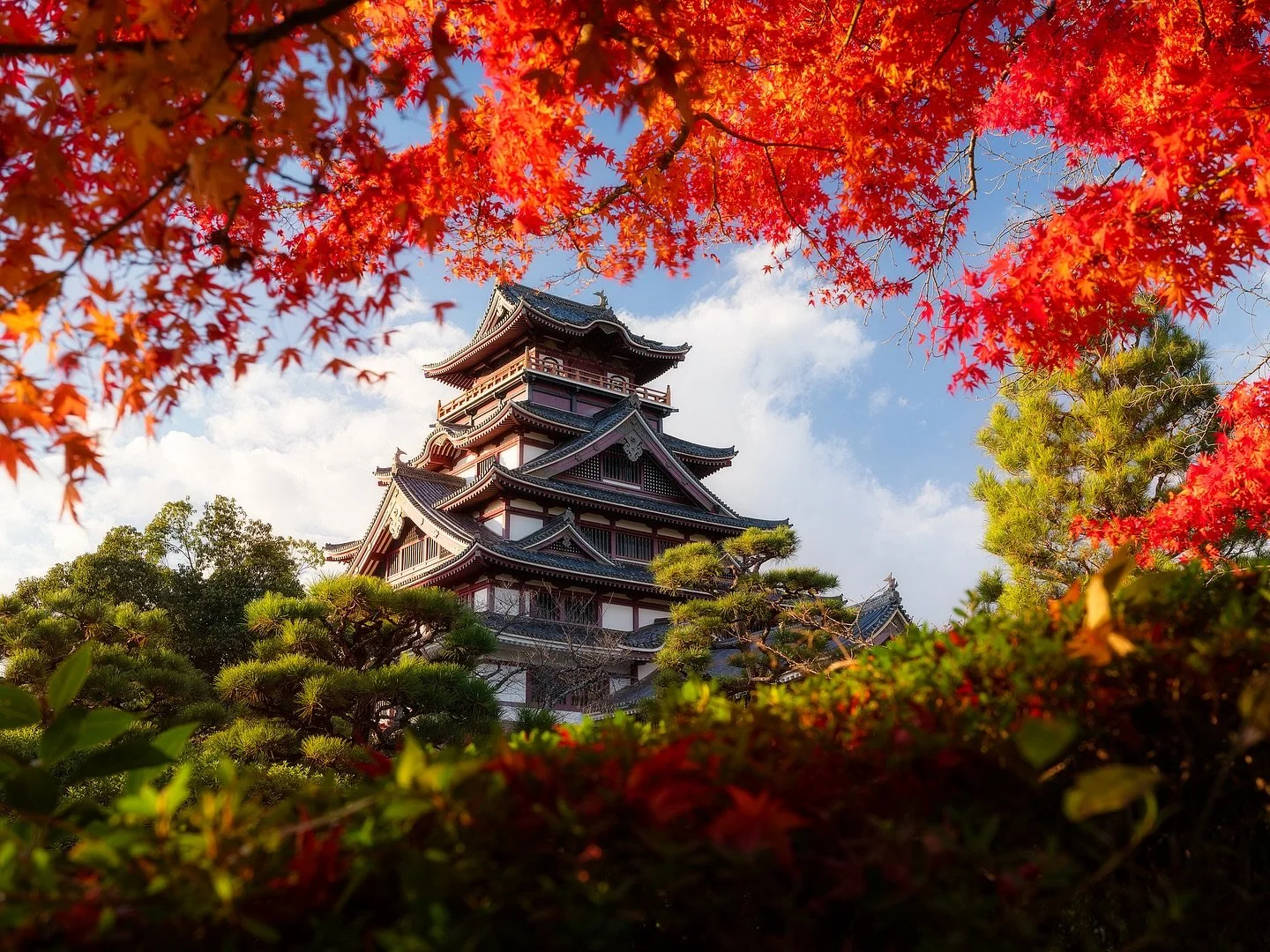Momijigari 🍁🍂🇯🇵

&lsquo;Autumn leaf hunting,&rsquo; is a cherished Japanese tradition of seeking out and celebrating the vibrant reds, oranges, and yellows of the season&rsquo;s foliage.

📷 Fuji GFX
⭕️ @mavenfilters 
🎛️ @withmediumrare 

#japan