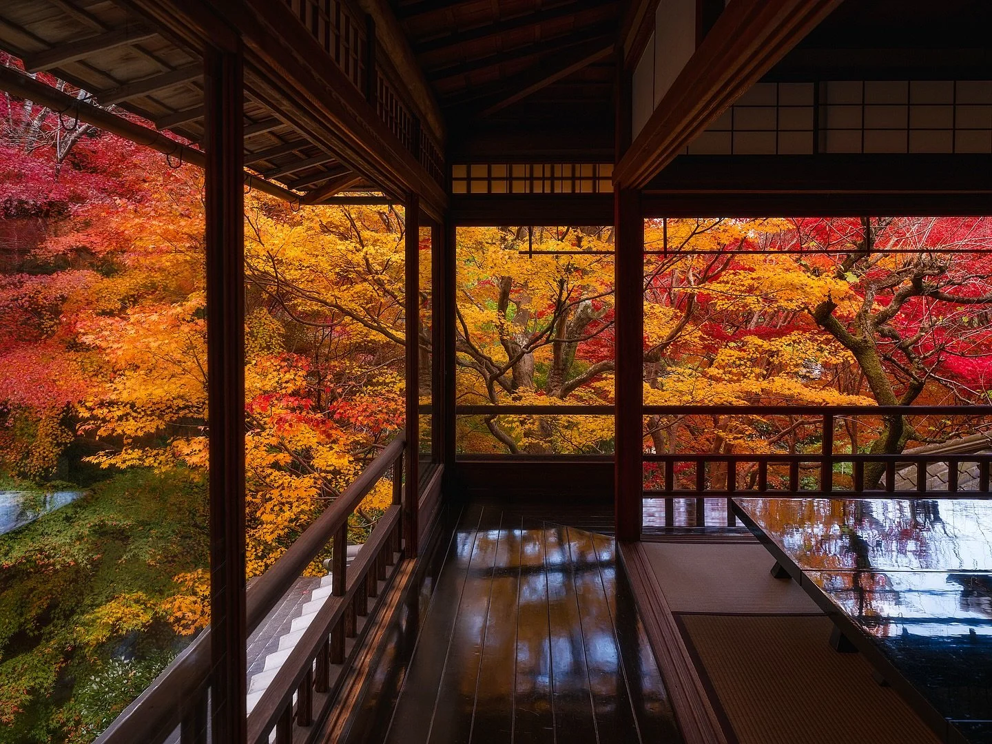 Frames of Japan 🇯🇵 🪟🍁 

📷 Fuji GFX
⭕️ @mavenfilters 
🎛️ @withmediumrare 

#japan
#koyo 
#momiji 
#momijigari 
#kyoto
#fallcolors 
#japanfallcolors 
#fujifilm 
#fujigfx
