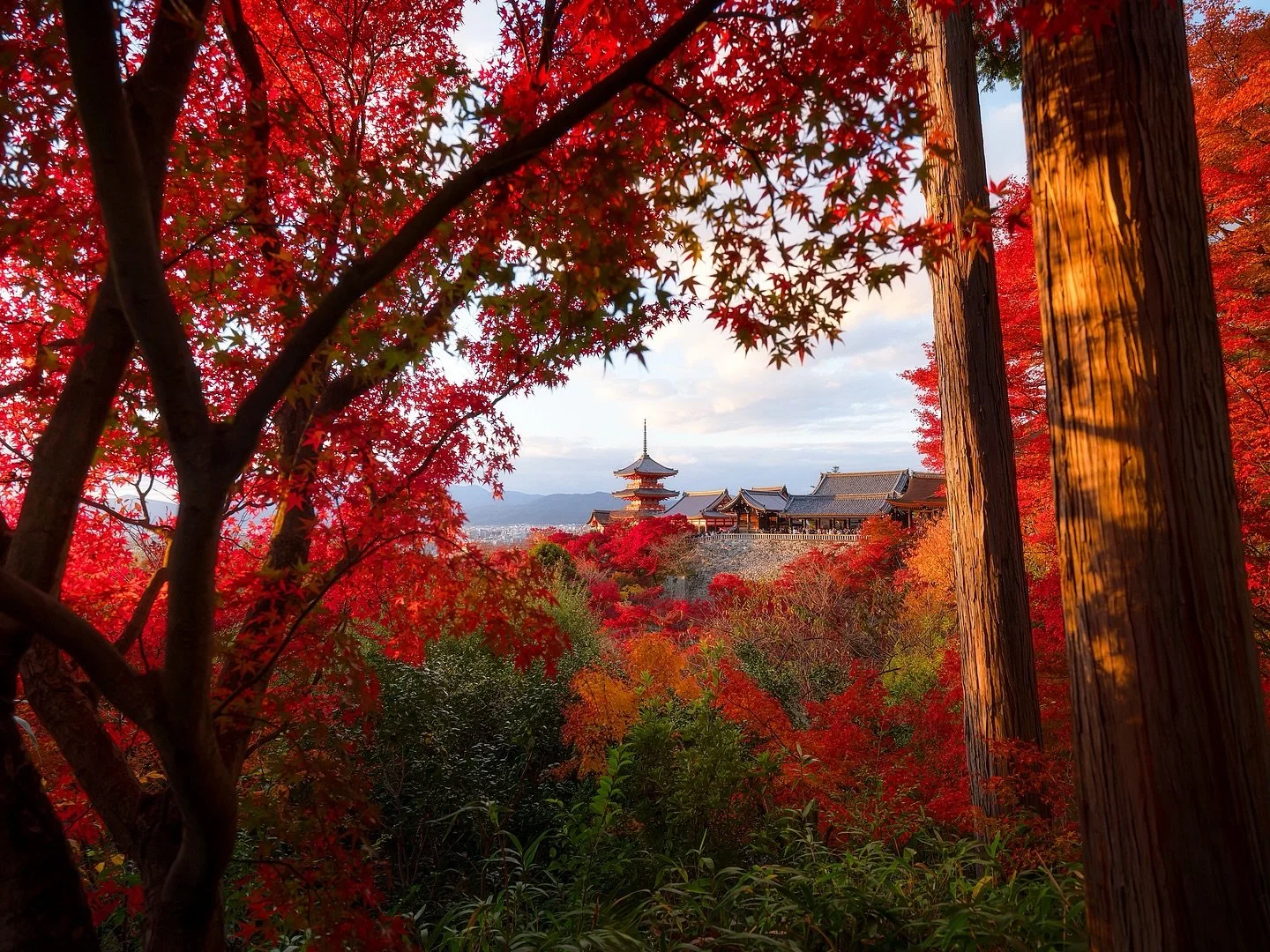 Kyoto Kōyō 🇯🇵 ⛩️🍁

Kyoto transforms into a breathtaking canvas of red, orange, and gold during autumn. From the serene temples of Arashiyama to the vibrant maple-lined paths of Kiyomizu-dera, every corner offers a glimpse of nature&rsquo;s artistr