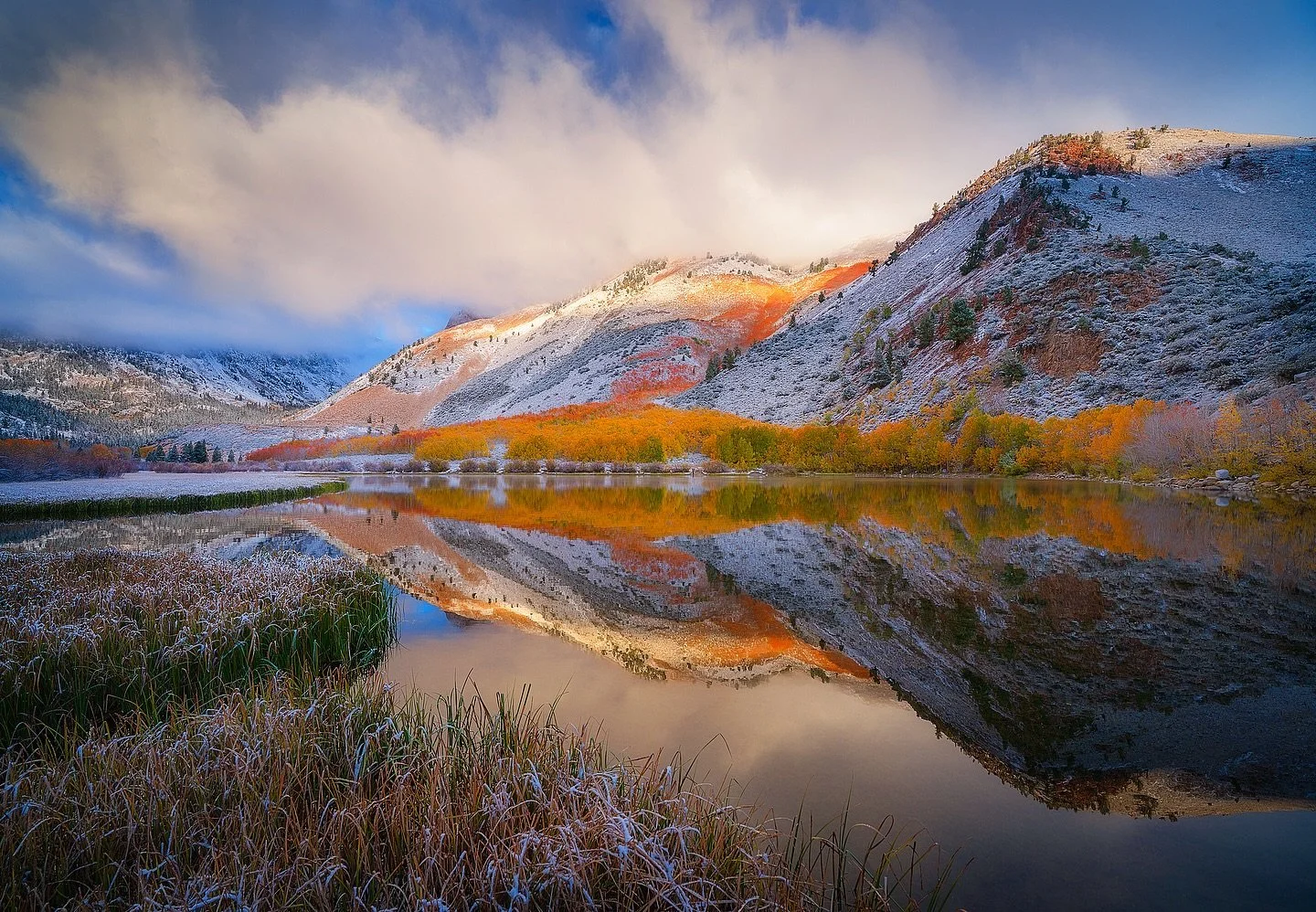Californian Autumn 🍂

My favorite season. 

📸 @sonyalpha 
⭕️ @mavenfilters 

#california
#highsierra
#easternsierra
#sierra
#fallfoliage
#autumn
#fallcolors🍁🍂