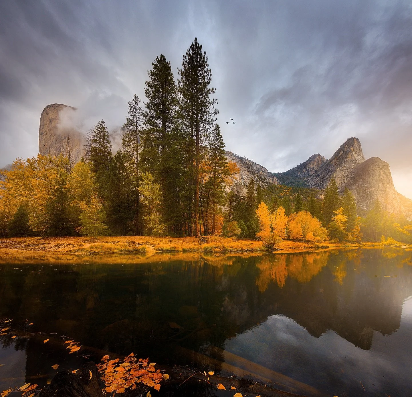Yosemite Fall Foliage 🍂🏞️

📸 @sonyalpha 
⭕️ @mavenfilters 

#YosemiteFall #AutumnWonderland #GoldenHourMagic #LeafyParadise #NatureIsArt #YosemiteNationalPark #FallFoliagePhotography #NatureLover #ExploreTheOutdoors #FallInLoveWithNature #ScenicVi