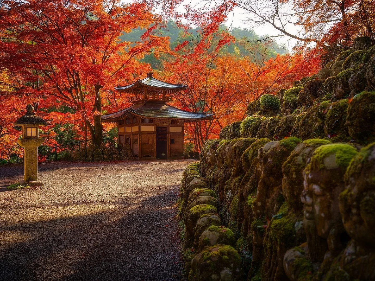 Kyoto Kōyō 🇯🇵 ⛩️🍁

Kyoto transforms into a breathtaking canvas of red, orange, and gold during autumn. From the serene temples of Arashiyama to the vibrant maple-lined paths of Kiyomizu-dera, every corner offers a glimpse of nature&rsquo;s artistr