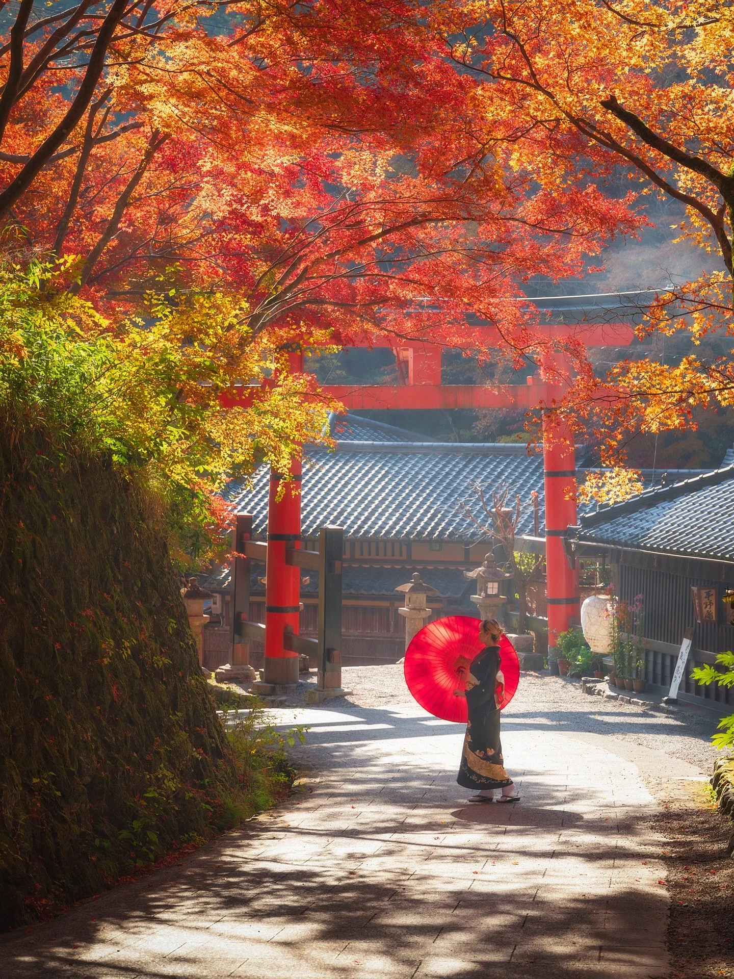 Underneath Momiji🍁

Beneath a canopy of fiery leaves, the air is thick with the quiet poetry of autumn. Each step echoes softly against the stone, the gentle rustle of leaves a reminder of fleeting moments. Draped in tradition, the scene unfolds lik