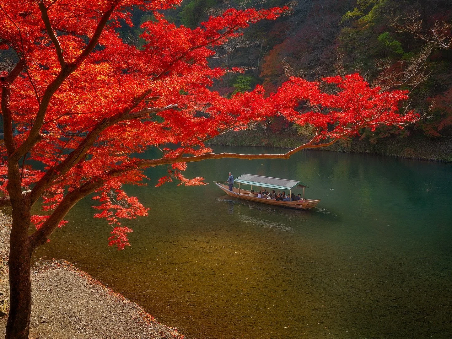 Momijigari 🍁🇯🇵

The joy of hunting for autumn leaves. 

📷 Fuji GFX
⭕️ @mavenfilters 
🎛️ @withmediumrare 

#japan
#koyo 
#momiji 
#momijigari 
#kyoto
#fallcolors 
#japanfallcolors 
#fujifilm 
#fujigfx