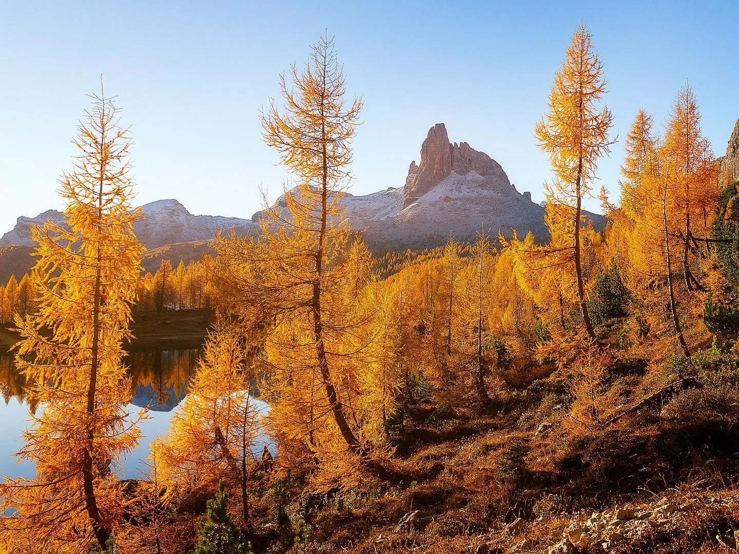 Dolomiti 🏔️🇮🇹

Autumn foliage with @sky_trotter 

#dolomites
#sonyimages
#fallcolors
#autumn
#mavenfilters