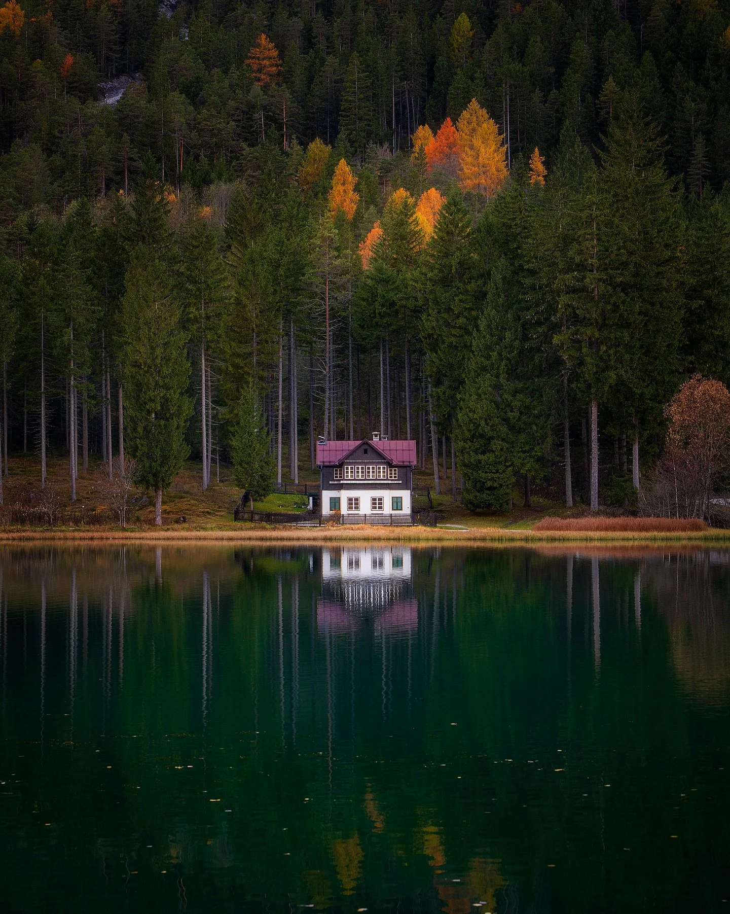 Lago di Dobbiaco 🌲🏠

Calm and Serene lake with beautiful larches. 

📸 @sonyalpha 
⭕️ @mavenfilters 

#dolomiti 
#sonyimages
#lagodidobbiaco 
#italy
#lake