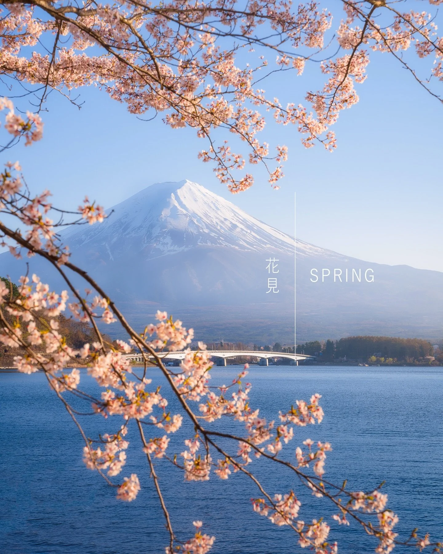 Hanami Sakura 🌸🇯🇵

Cherry blossom season in Japan is here!

📸 Sony A7R4 / Fuji GFX
⭕️ @mavenfilters 
🖥️ @withmediumrare 

#Sakura 
#CherryBlossoms 
#Japan 
#fuji 
#hanami