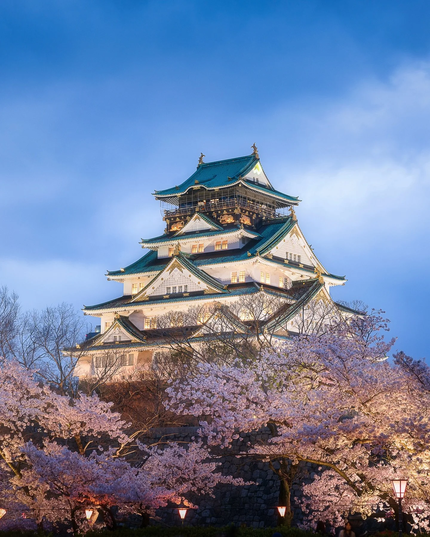 🏯🇯🇵 🌸

One of the most admirable aspects of Japanese culture is how seamlessly tradition and modernity coexist. Amidst the steel and glass of a bustling city, you might stumble upon a centuries-old castle, preserved with reverence in its original