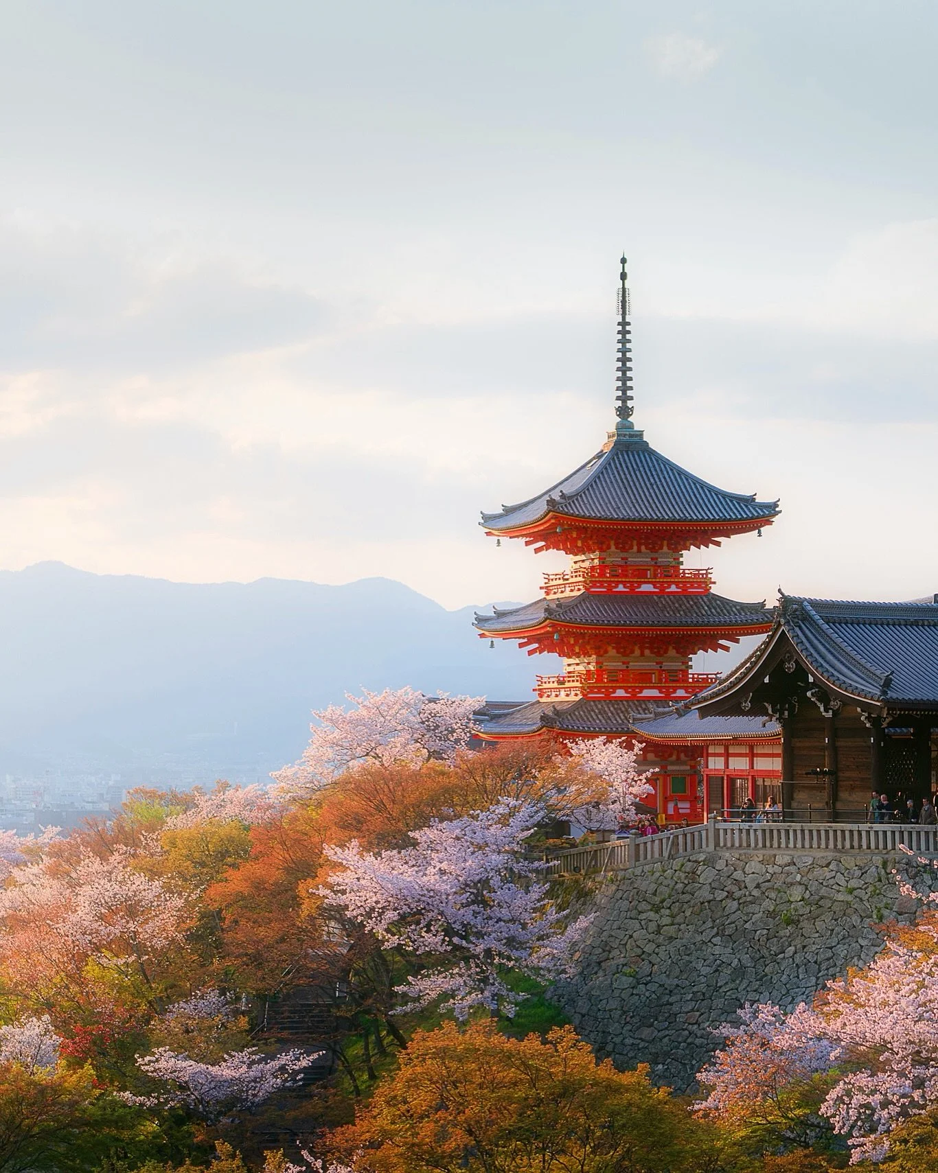 桜狩り | Sakuragari 🌸🇯🇵

Cherry Blossom Hunting

In the heart of spring, nature offers a fleeting spectacle&mdash;cherry blossoms in full bloom. The tradition of sakuragari invites you to seek moments of beauty. Each blossom, delicate and short-lived