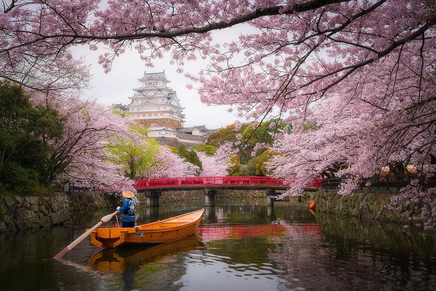 Sakura-fubuki (桜吹雪) 🌸🌪️

Translate into &ldquo;Cherry Blossom Snowstorm&rdquo;. Standing in a sakura-fubuki feels like stepping into a dream&mdash;soft petals flutter around you, catching the light as they fall like gentle snow. Time slows. Hours l