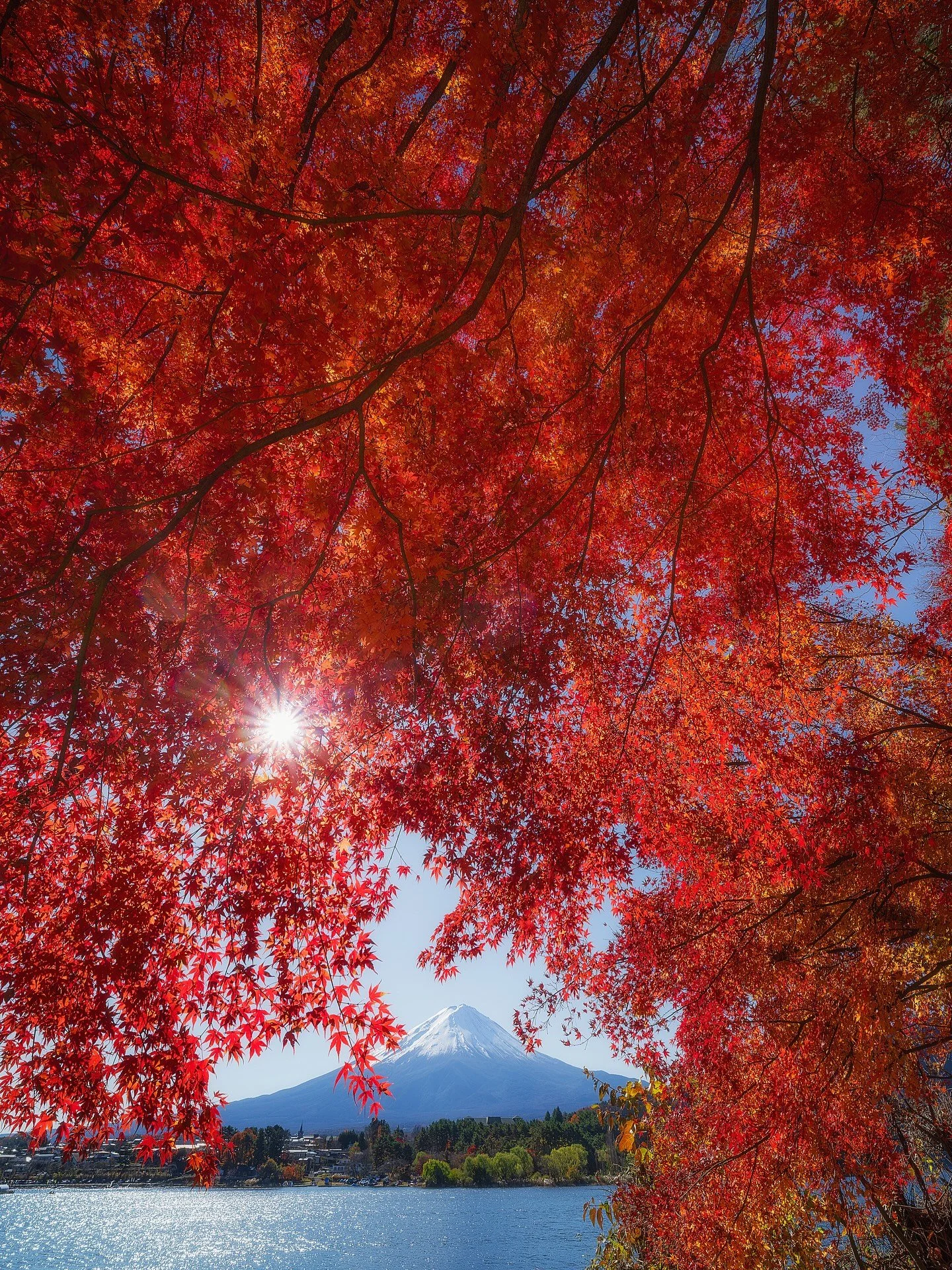 Japan in Red 🍁⛩️

📷 Fuji GFX
⭕️ @mavenfilters 
🎛️ @withmediumrare 

#japan
#koyo 
#momiji 
#momijigari 
#kyoto
#fallcolors 
#japanfallcolors 
#fujifilm 
#fujigfx
#fuji 
#kawaguchiko 
#fujikawaguchiko 
#fujisan🗻