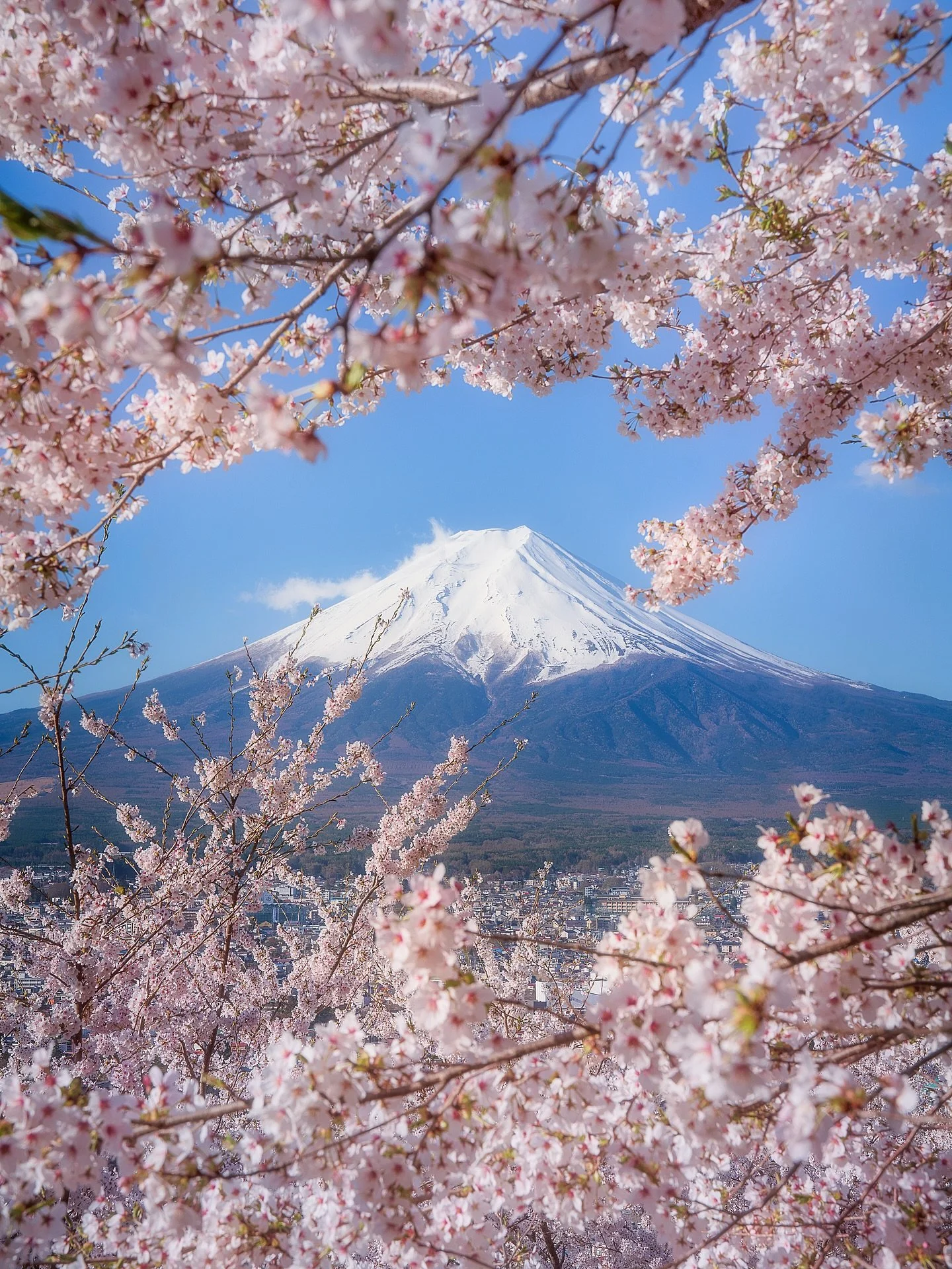 🌸 🗻 🇯🇵 

A view you must see atleast once in your lifetime. 

Fuji-san.

📸 Sony A7R5
⭕️ @mavenfilters 
🖥️ @withmediumrare 

#fuji 
#japan 
#cherryblossom🌸 
#hanamisakura
#kawaguchiko