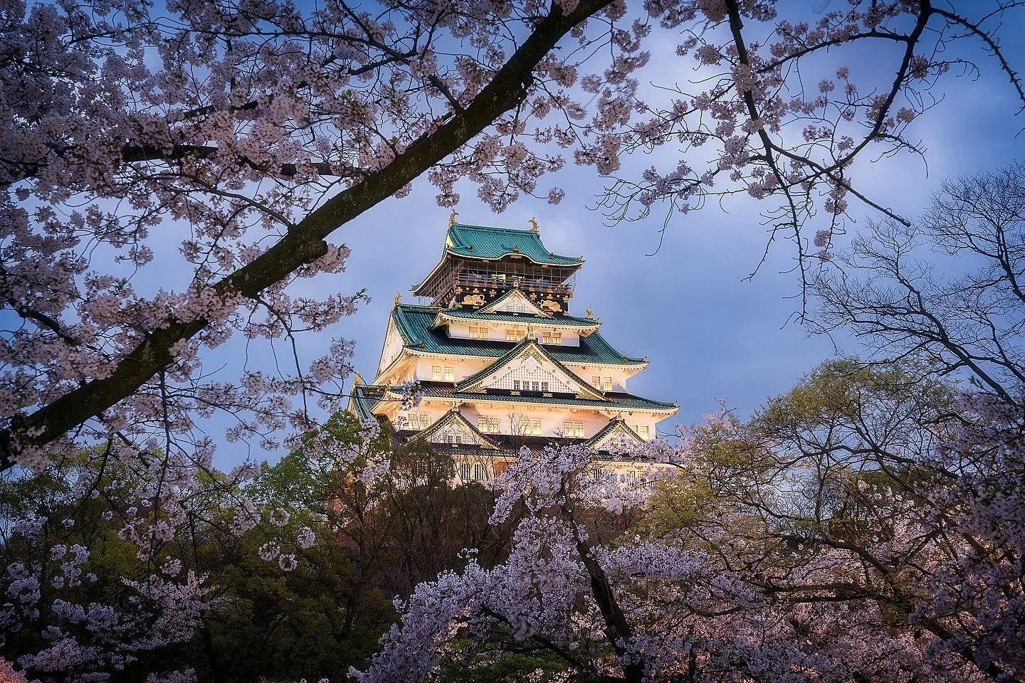 🏯🇯🇵 🌸

One of the most admirable aspects of Japanese culture is how seamlessly tradition and modernity coexist. Amidst the steel and glass of a bustling city, you might stumble upon a centuries-old castle, preserved with reverence in its original