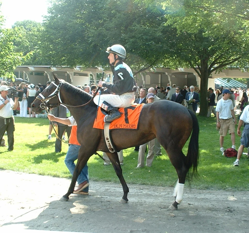 At Belmont Racetrack 