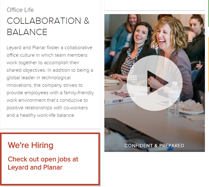 Do You Call it Work if You're Having Fun?