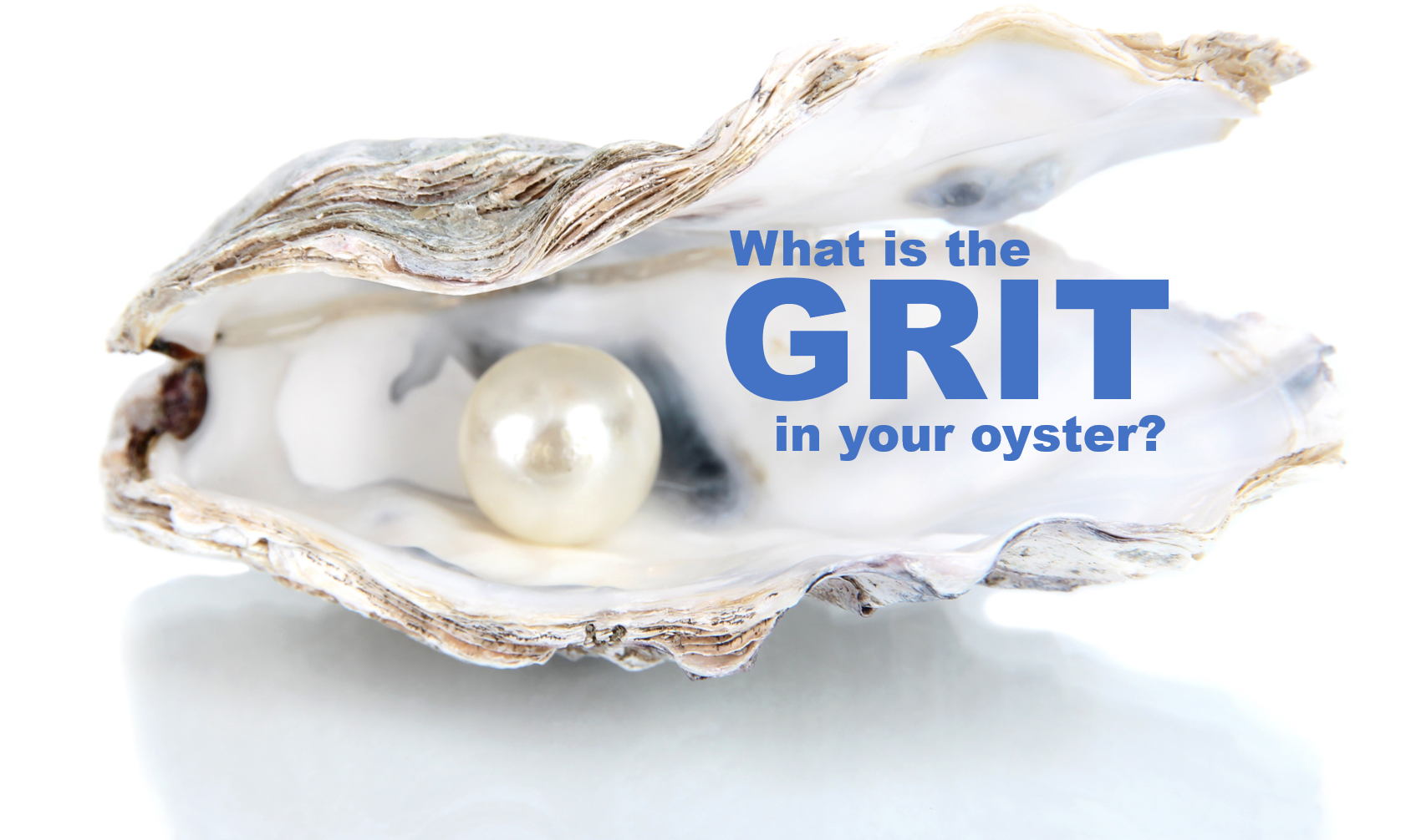 What is the Grit in Your Oyster?