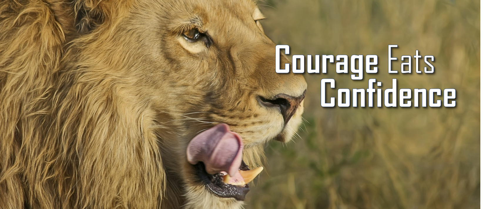 Courage Eats Confidence image.png