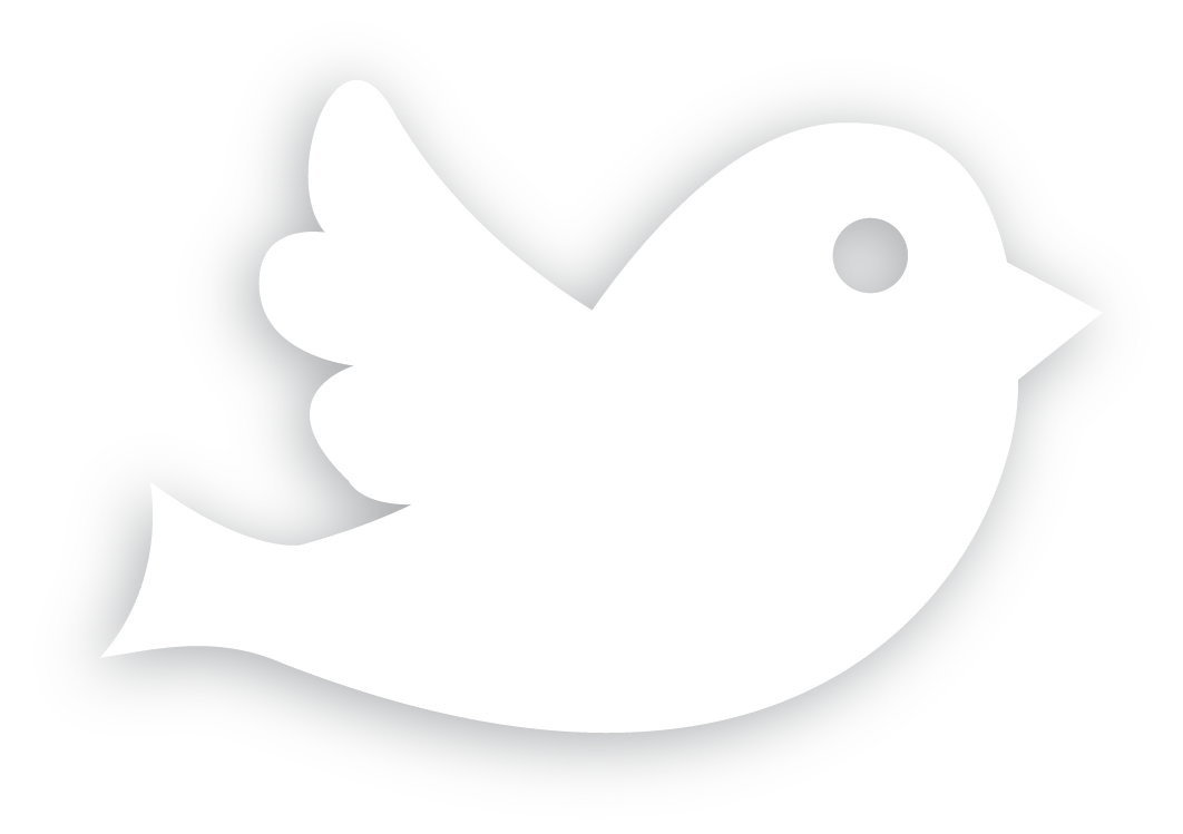 SOCIAL MEDIA PROGRAMS