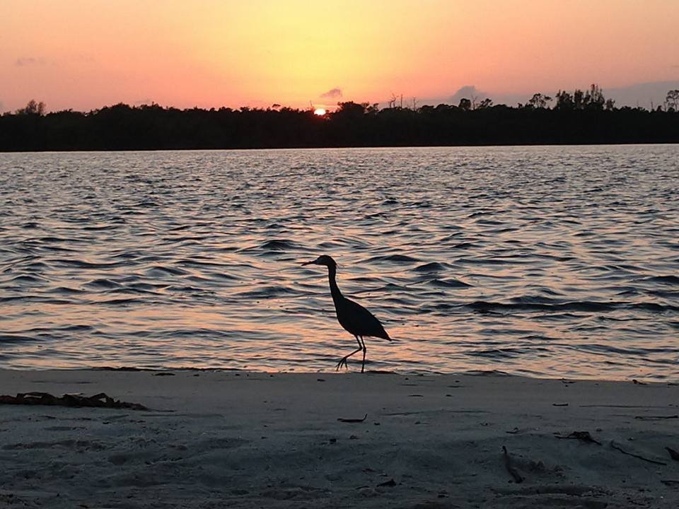 Heron beach sunset.jpg