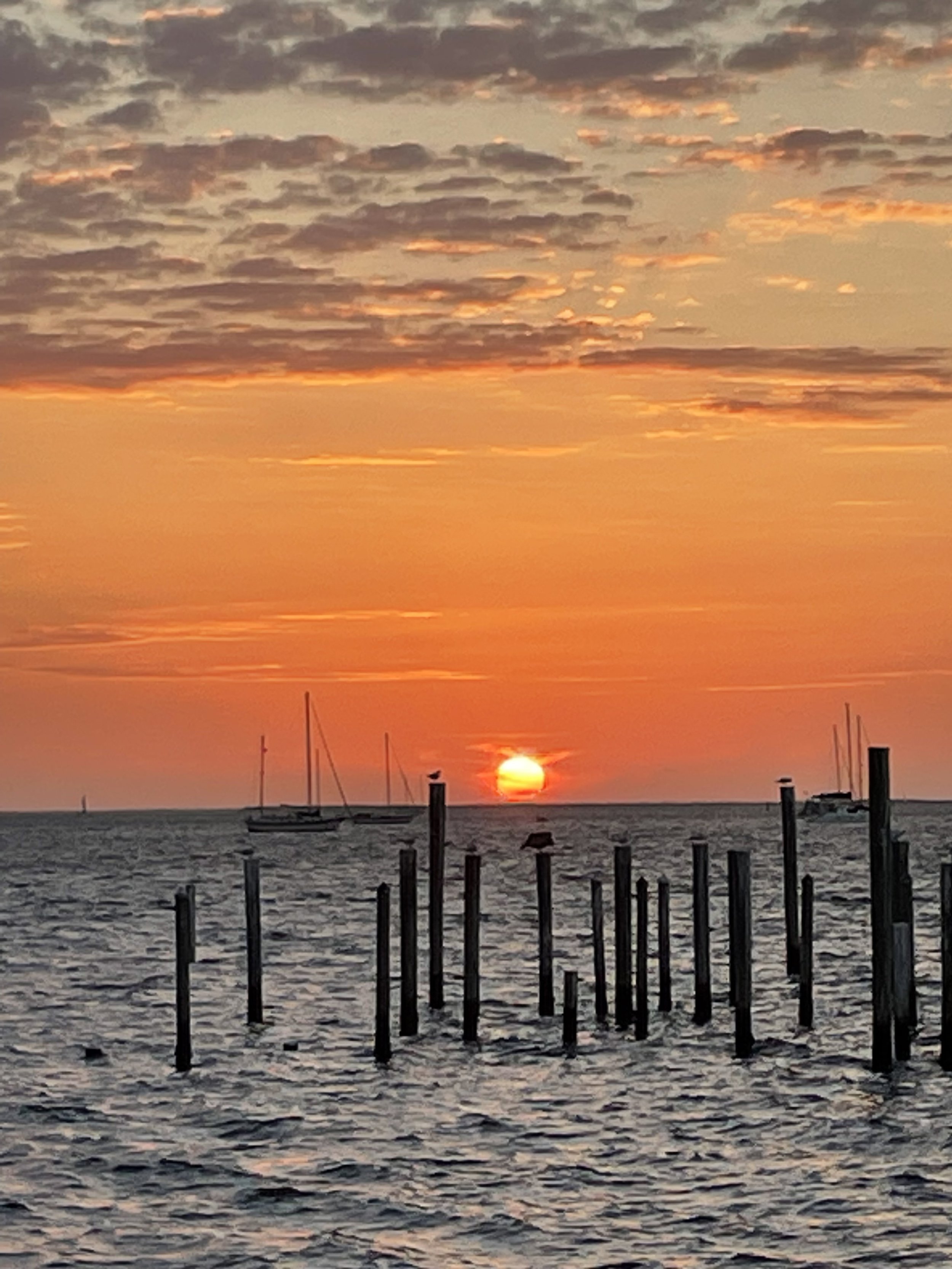 Sunset dock pilings.jpg