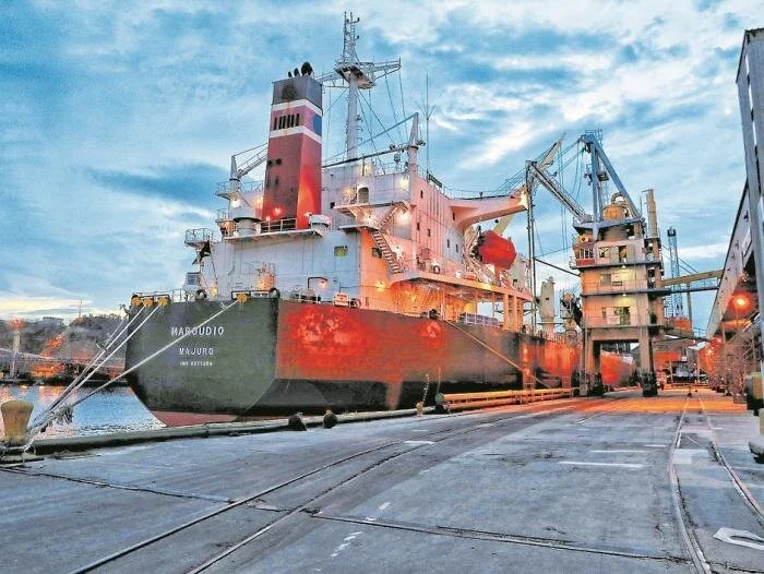 Más de 800 empresas en lista para exportar durante la pandemia