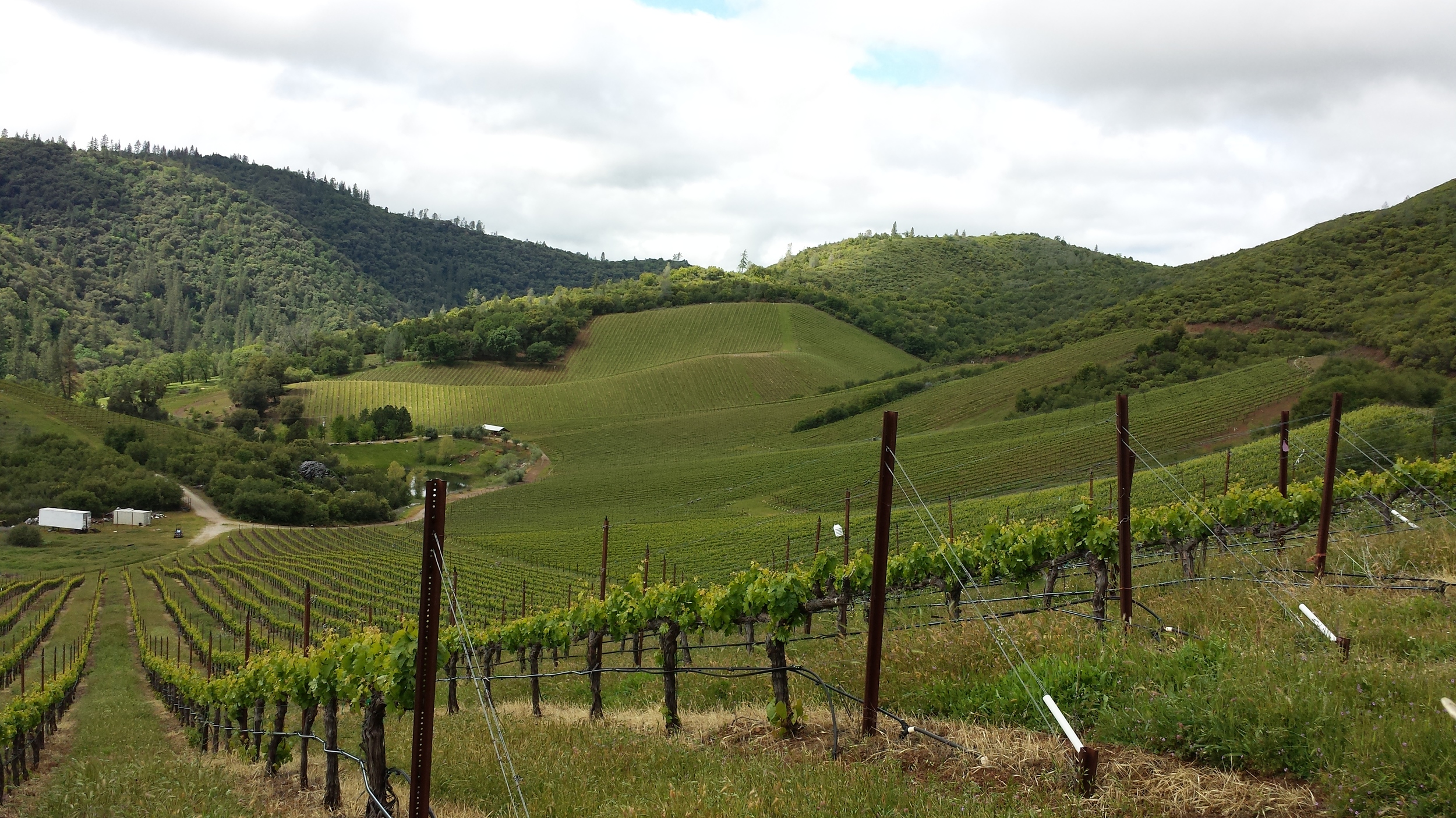 20140426_110222.jpg