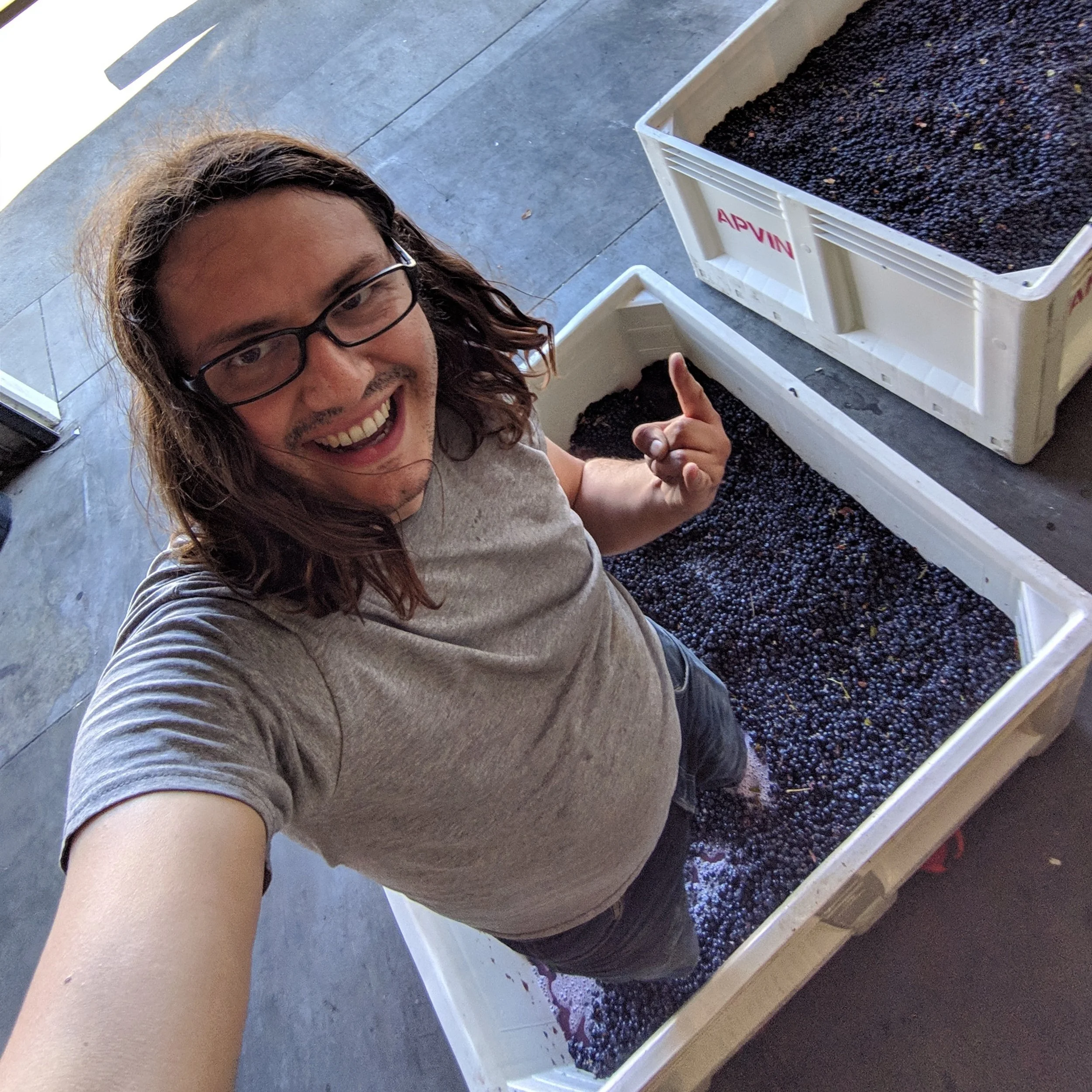 2018 Halcon Syrah Stomp