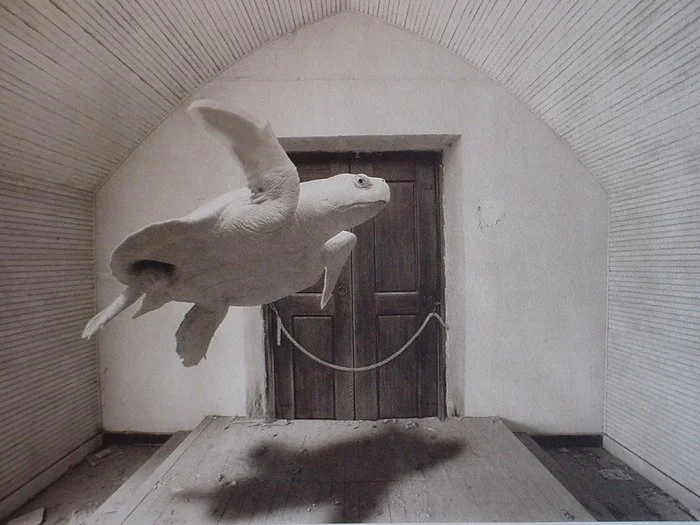 Dan Burkeholder - Turtle in Church, Alice, Texas, 1994 is an example of the early use of Photoshop after its release in 1990. Dan combined digital scanning of analogue images with Photoshop to create negatives - techniques familiar to mass publ…