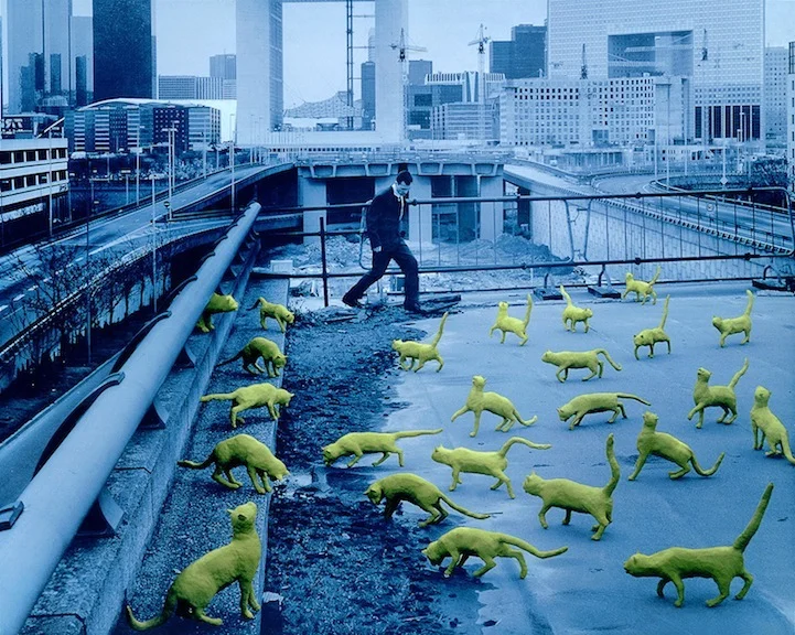 Cats in Paris 1993