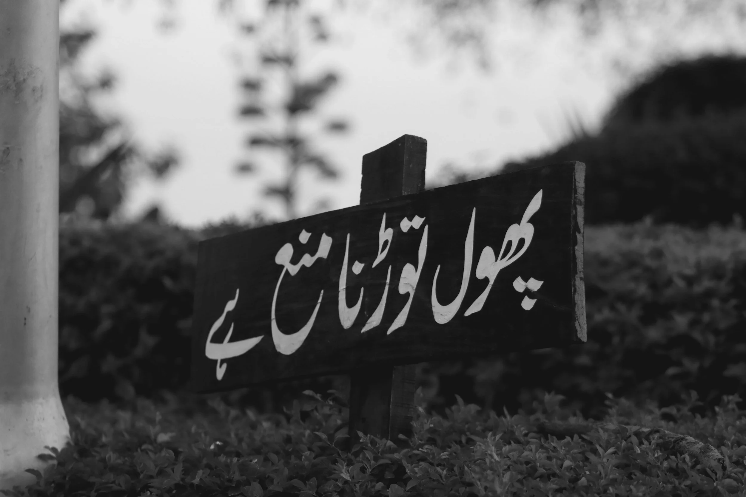 Testing your Urdu (CEFR)