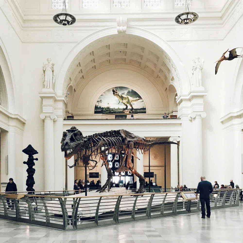 Museum and gallery interior